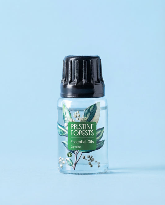 Camphor Essential Oil