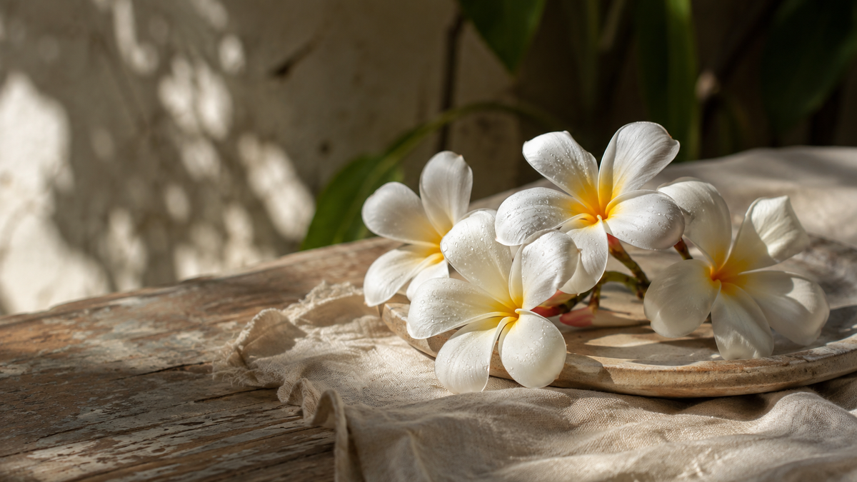 Petals, Perfume & Time: The Story Of Frangipani