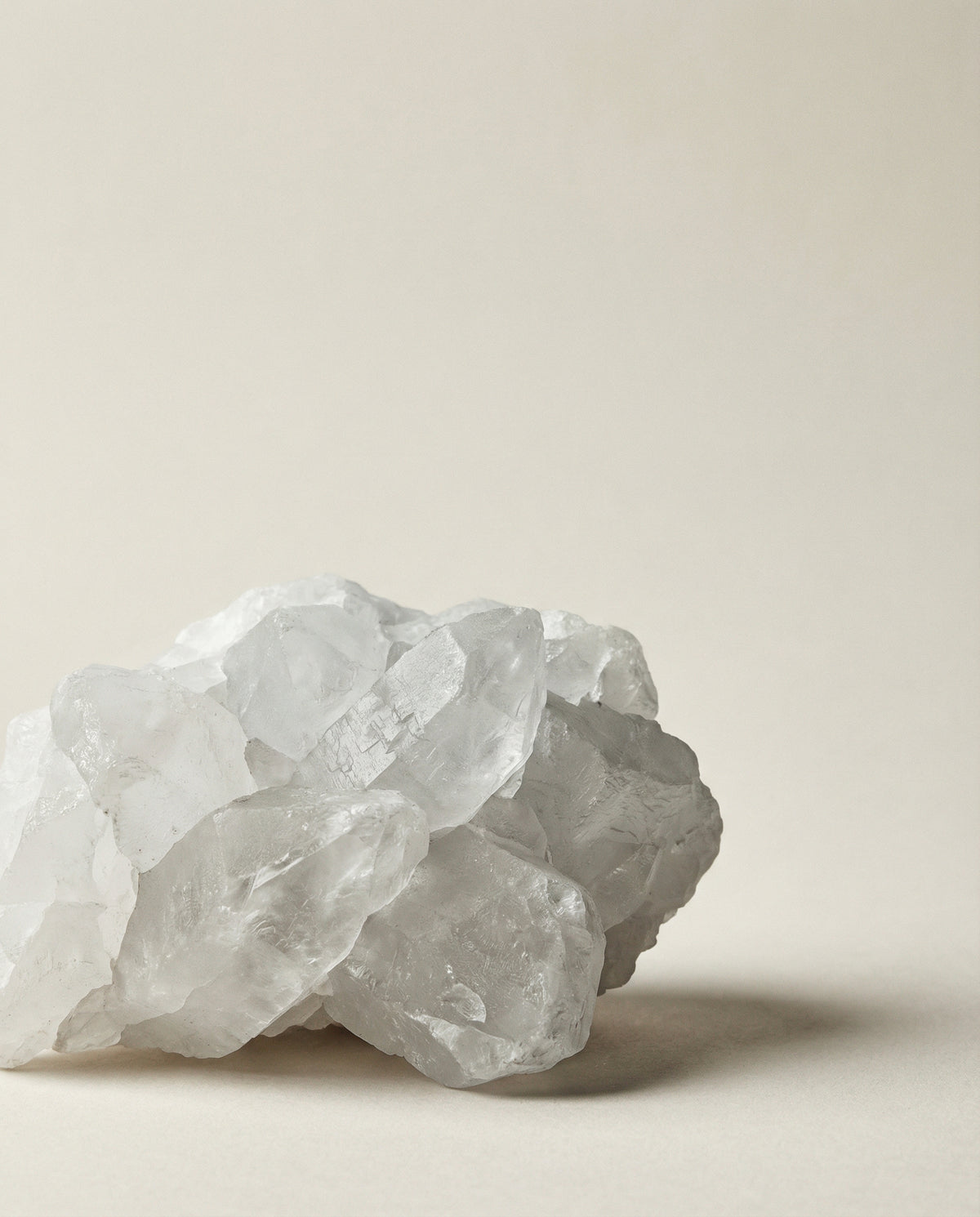 Camphor Essential Oil