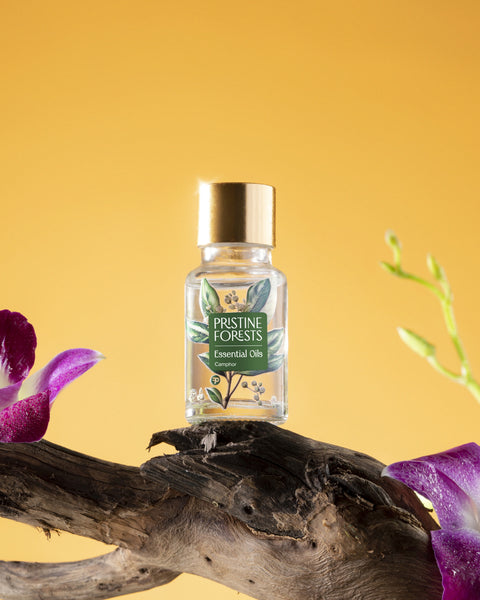 Camphor Essential Oil