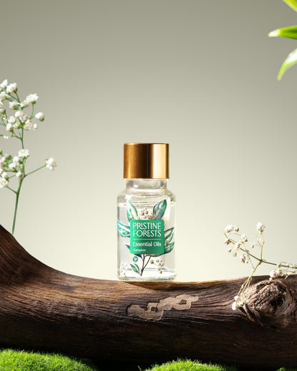 Camphor Essential Oil
