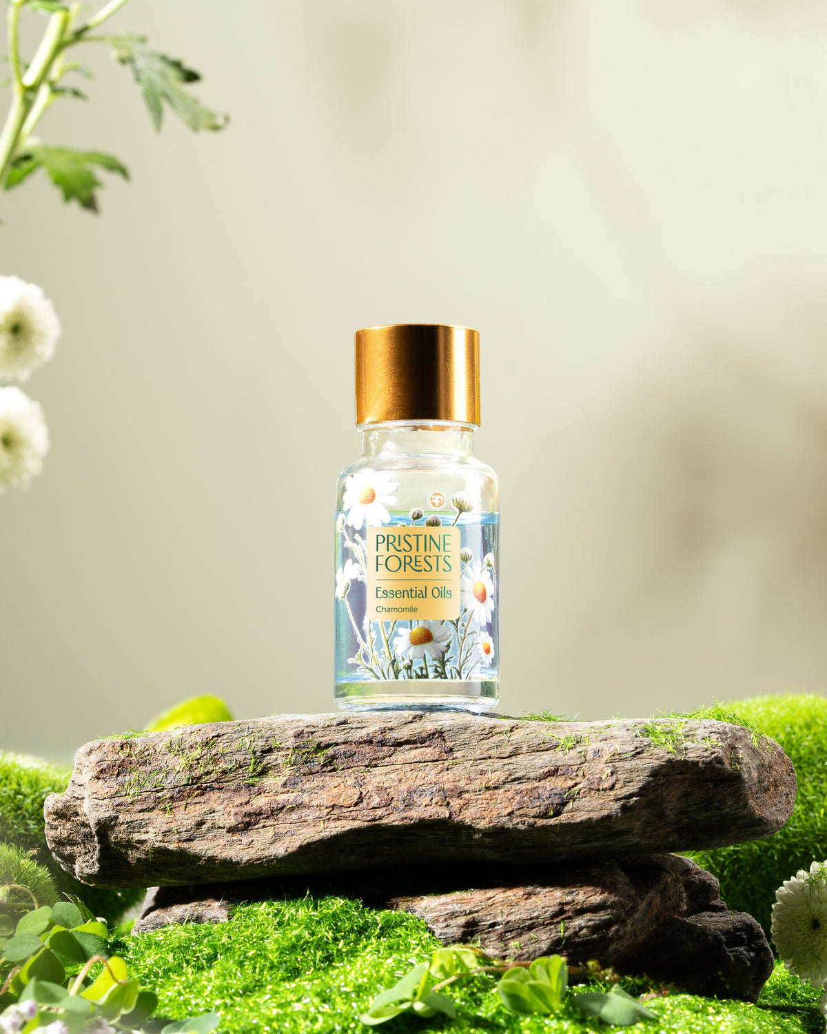 Chamomile Essential Oil