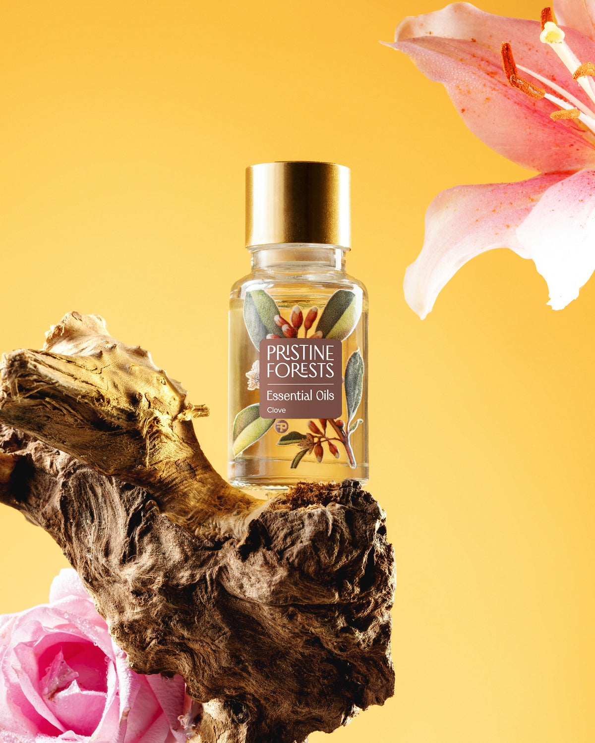 Clove Essential Oil