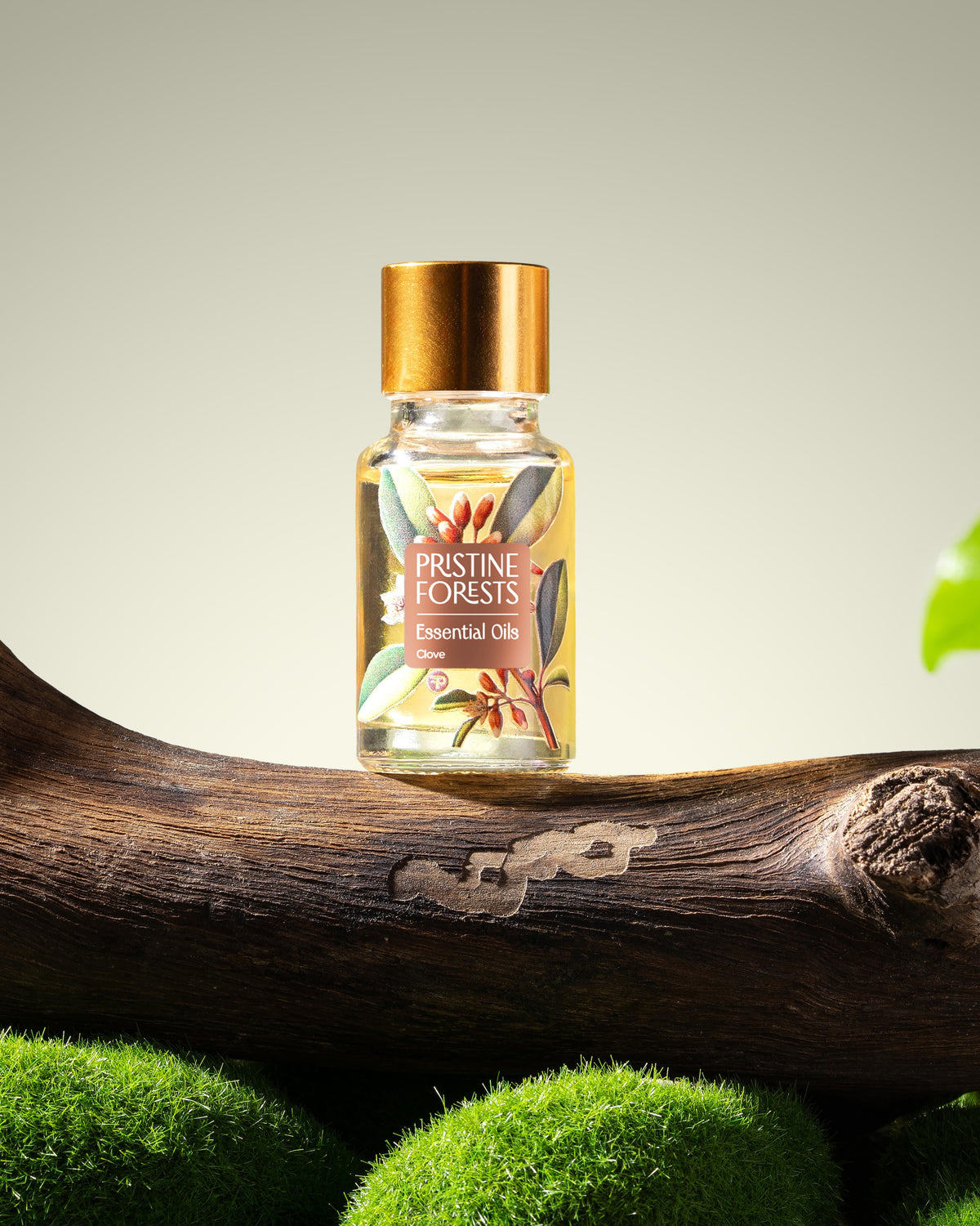 Clove Essential Oil