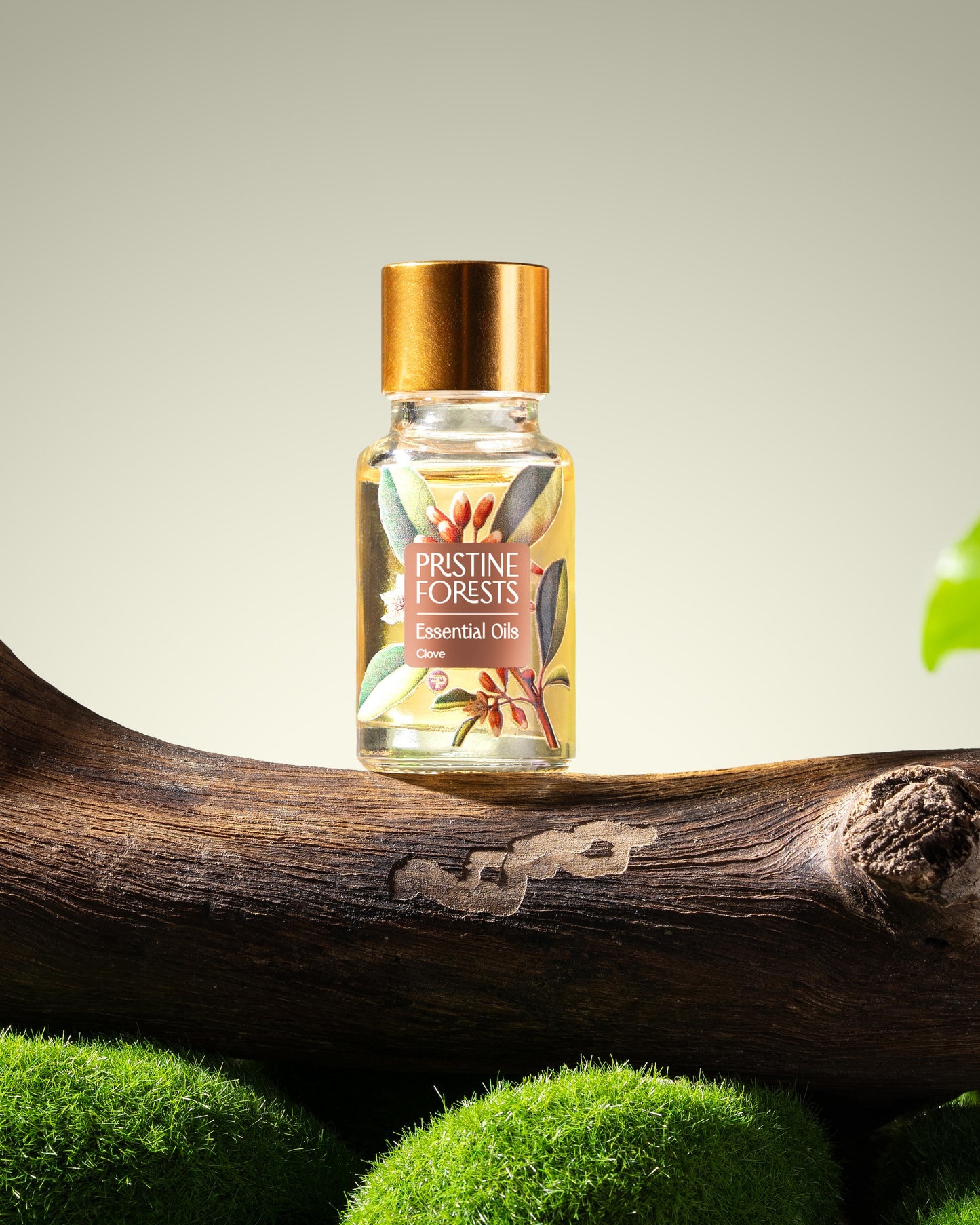 Clove Essential Oil