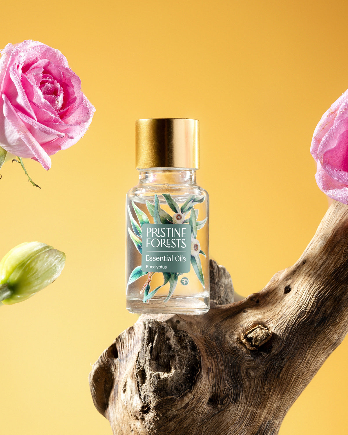 Eucalyptus Essential Oil