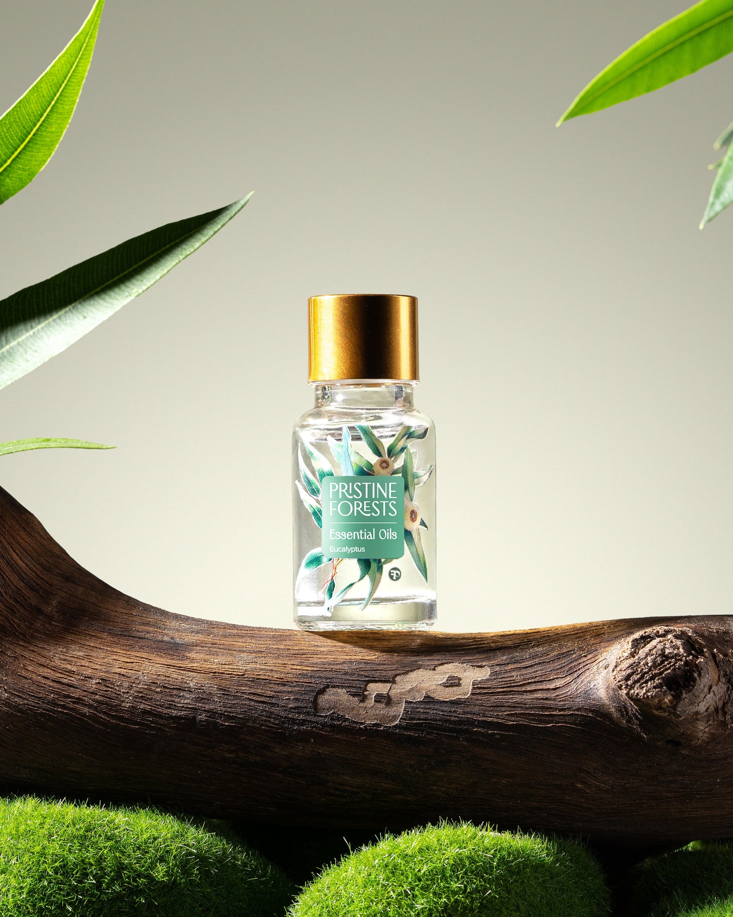 Eucalyptus Essential Oil