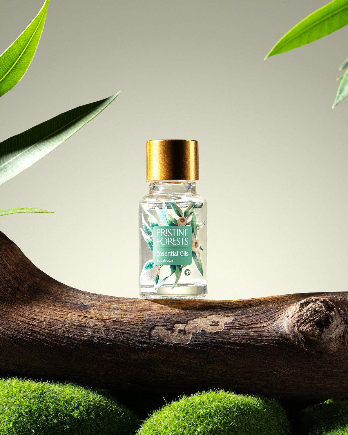 Eucalyptus Essential Oil