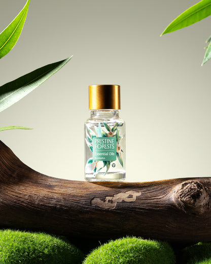 Eucalyptus Essential Oil