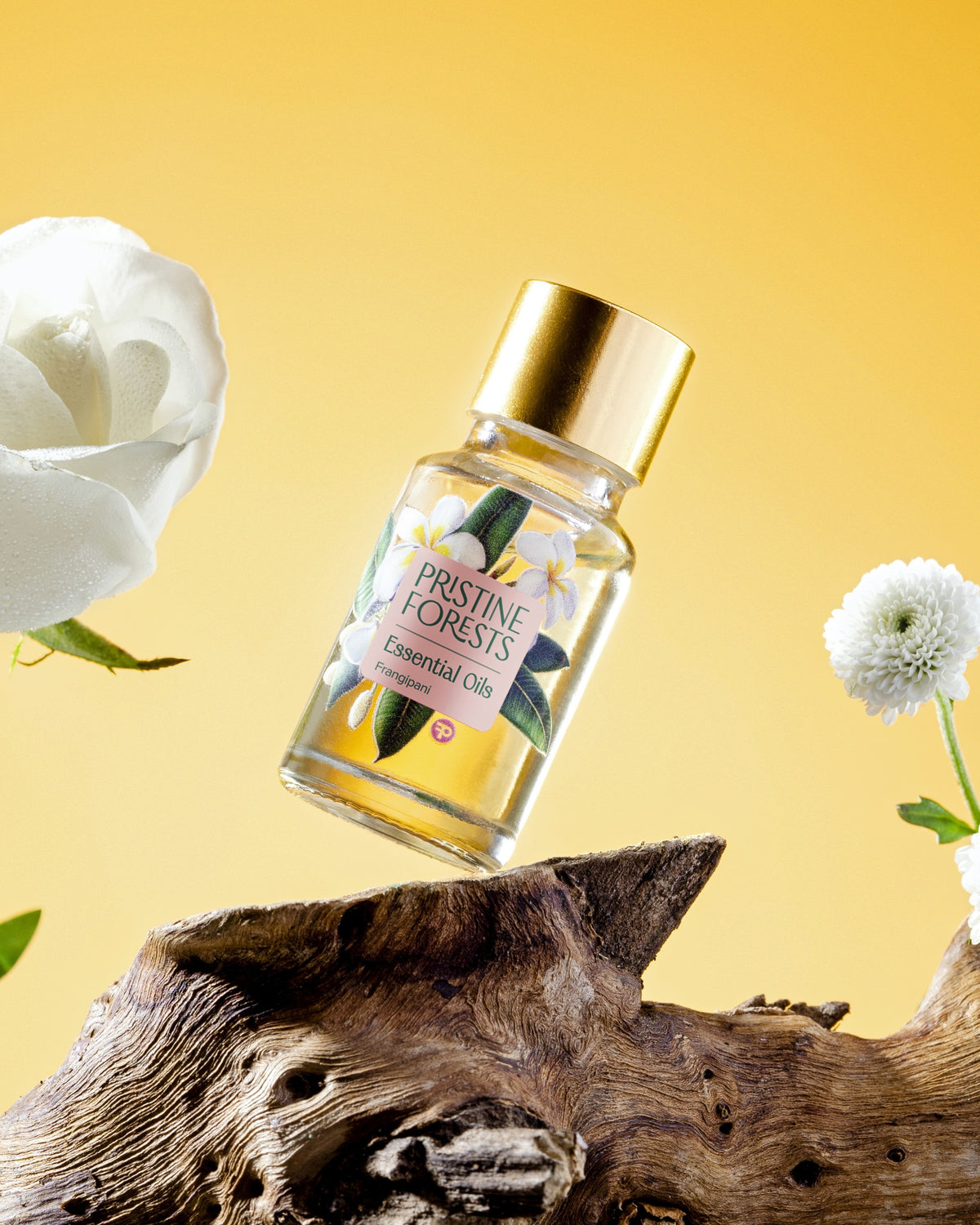 Frangipani Essential Oil