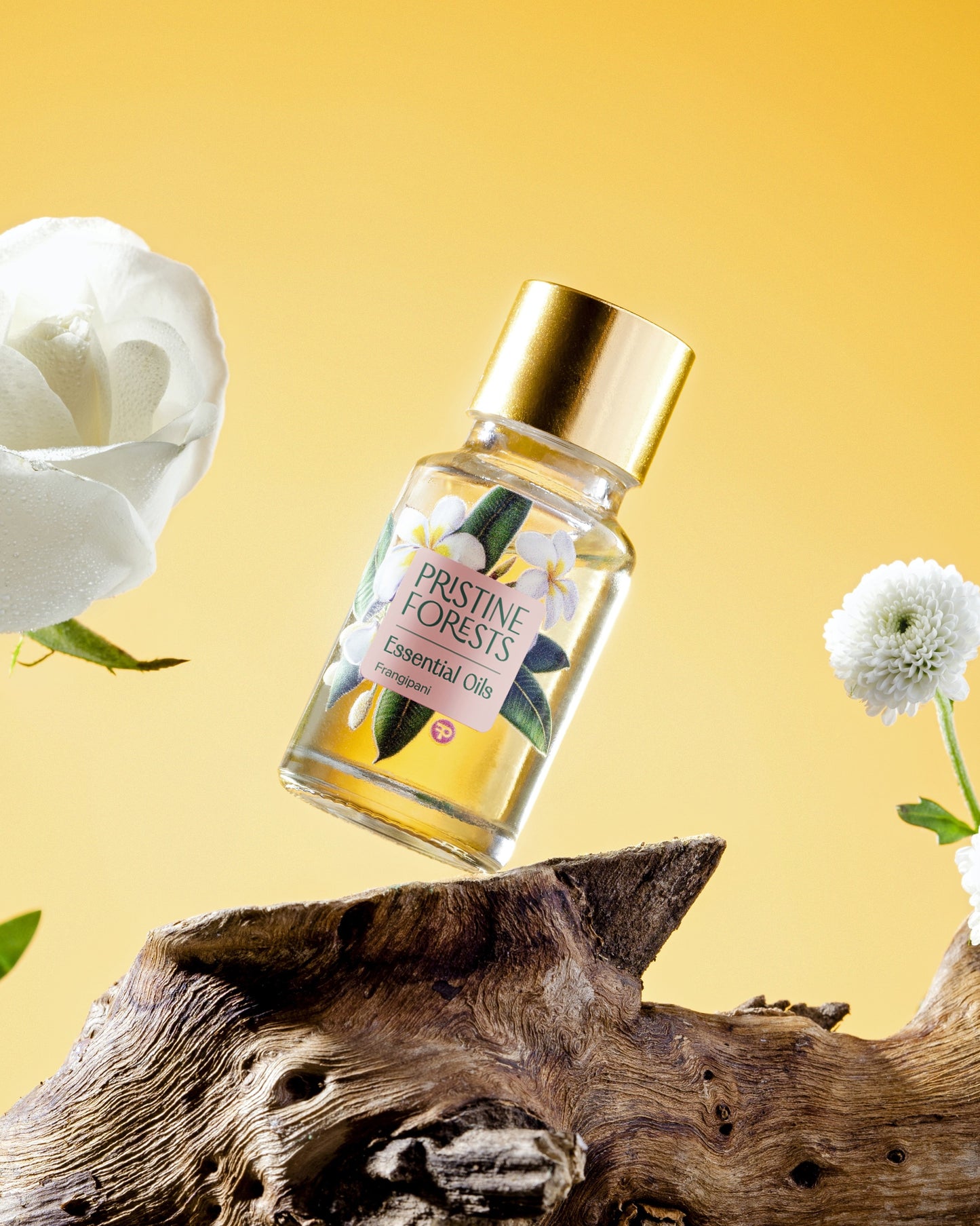 Frangipani Essential Oil