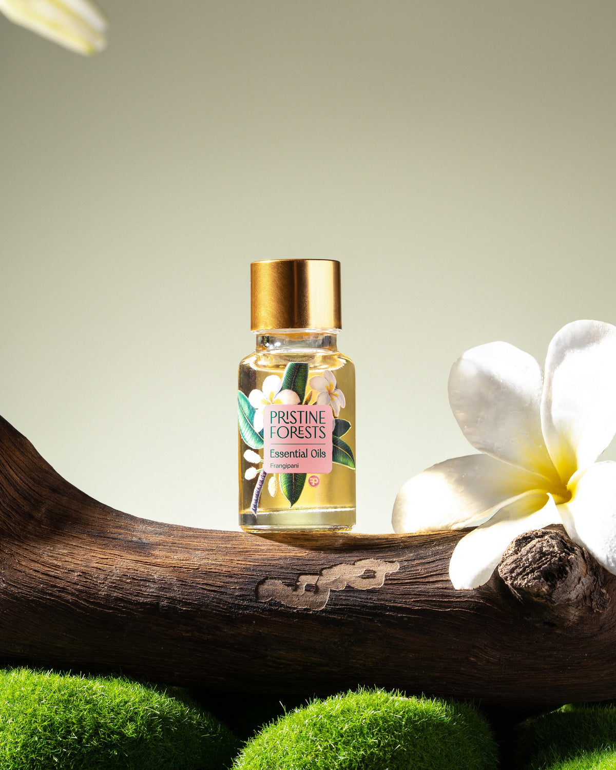 Frangipani Essential Oil