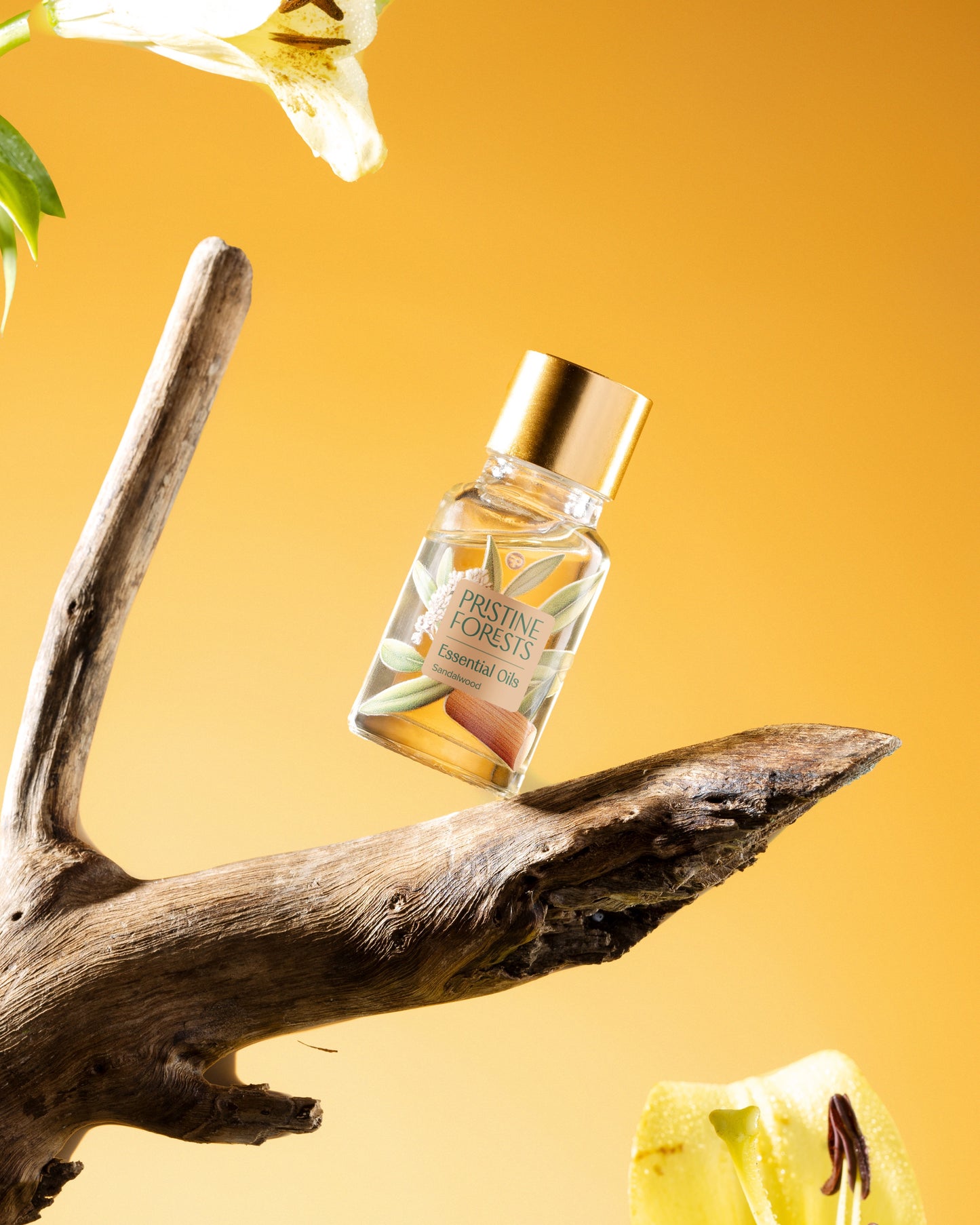 Sandalwood Essential Oil
