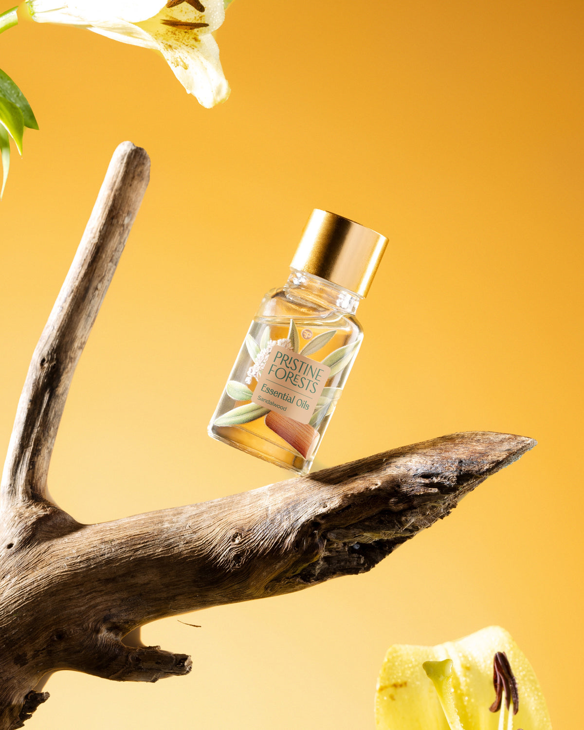 Sandalwood Essential Oil
