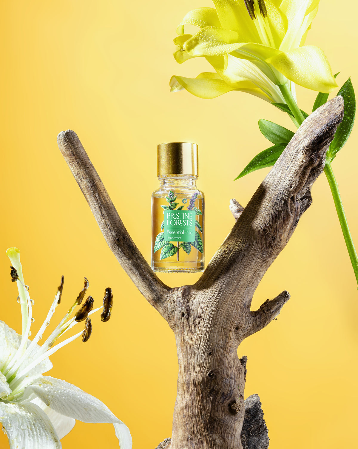 Peppermint Essential Oil