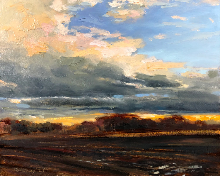 Morning After The Rain