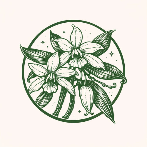 Vanilla