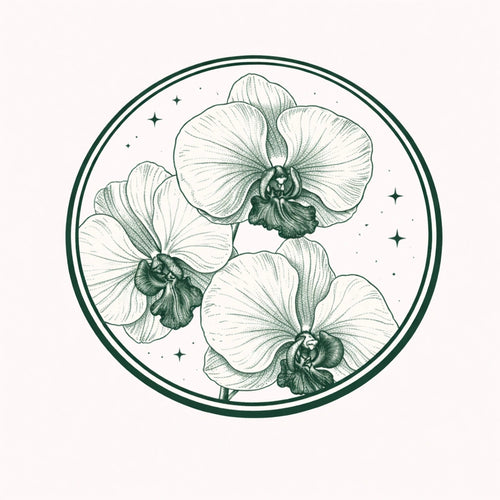 Orchid