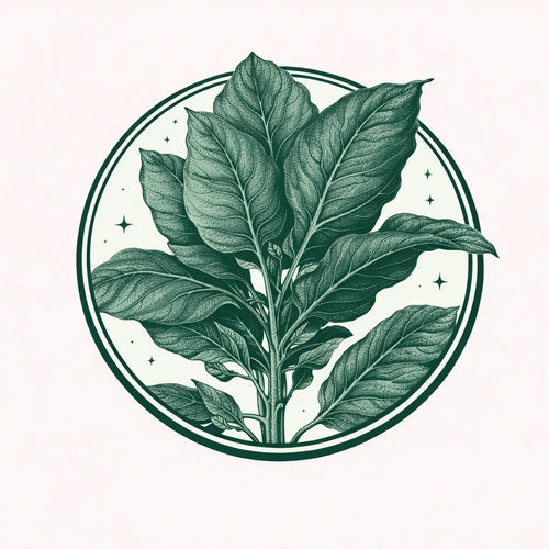 Tobacco