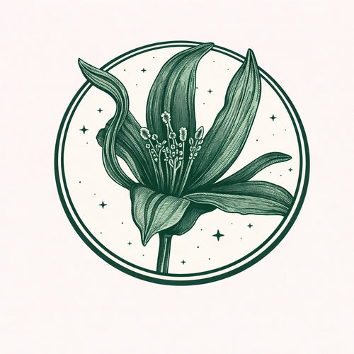 Ylang Ylang