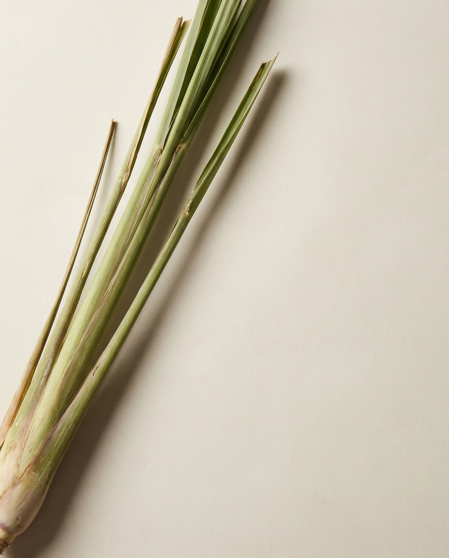 Lemongrass Essential Oil