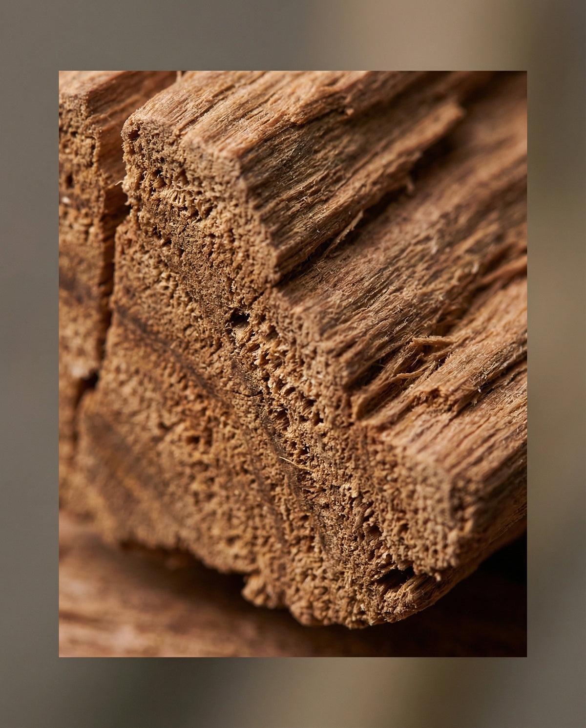 Sandalwood Essential Oil