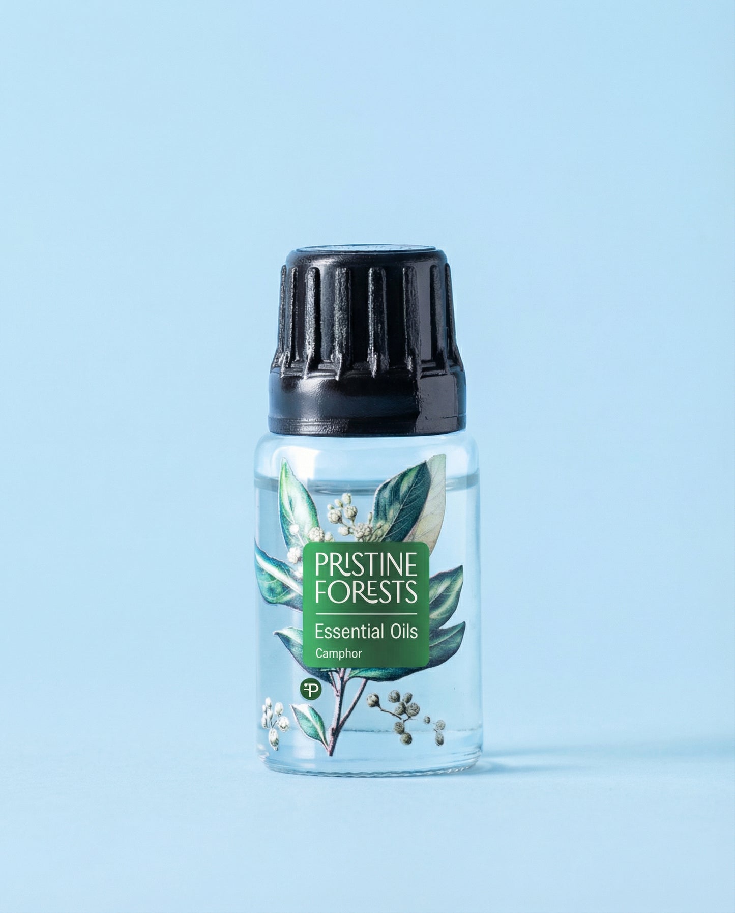 Camphor Essential Oil
