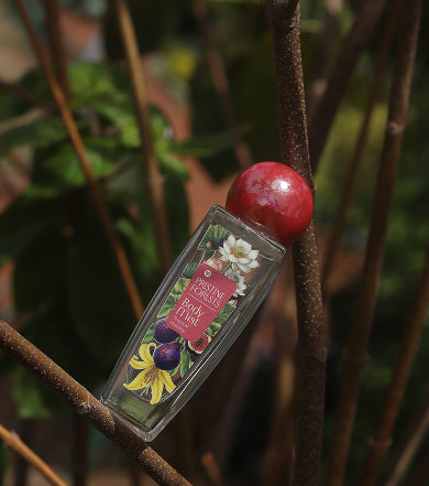 Pristine Forests body mist bottle resting in wild forest branches