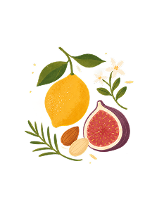 Natural Ingredients botanical brand pillar illustration