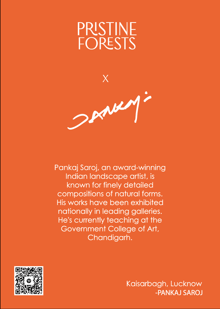 Postcard reverse — Pristine Forests x Pankaj Saroj, with the artist's biography, a QR slot and the painting name.