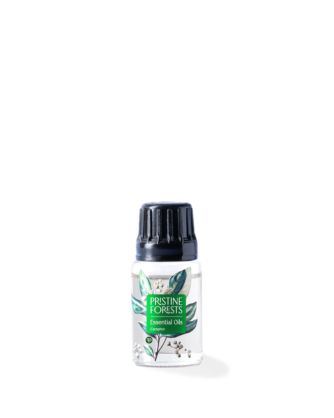Camphor Essential Oil