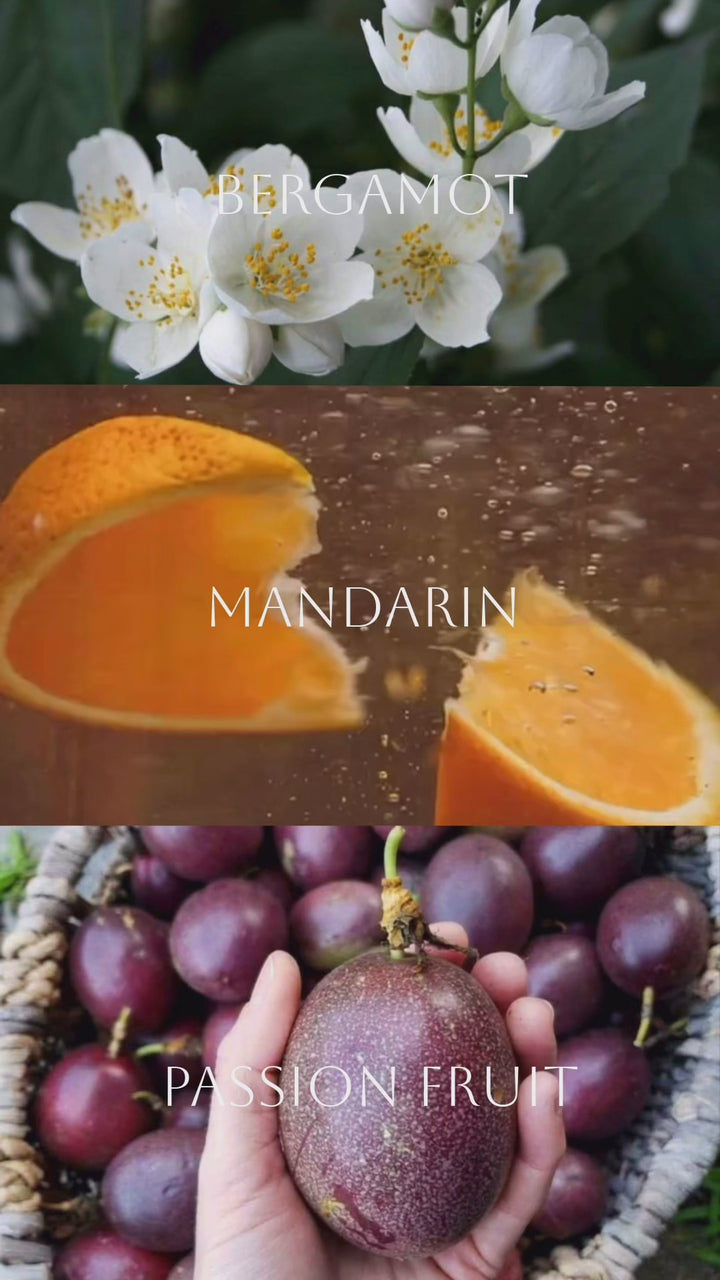 Into the Orchard product video, clip 1 of 1