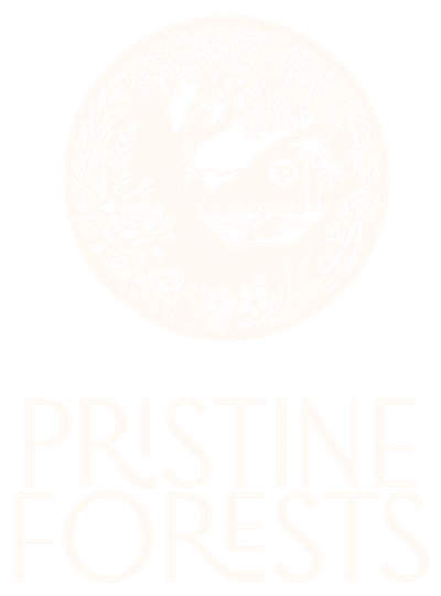 Pristine Forests
